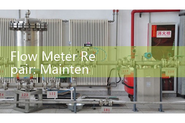 turbine gas meter